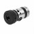 photo_5-.jpg